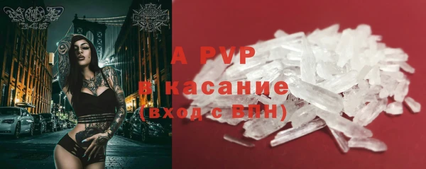 стафф Зерноград