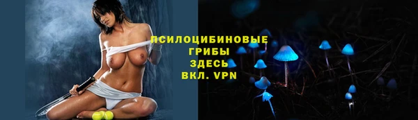 гидропоника Зеленодольск