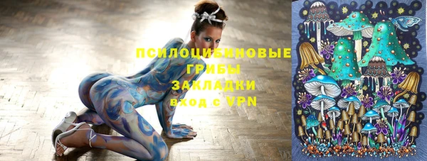 стафф Зерноград