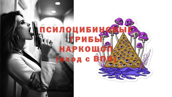 стафф Зерноград