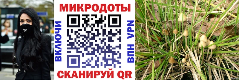 цена наркотик  Шелехов  Галлюциногенные грибы Cubensis 